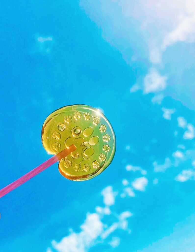 ロリポップ透明封蝋/シーリングスタンプsealing wax「5枚1セット」　手紙/招待状/年賀状/贈り物/手帳デコ