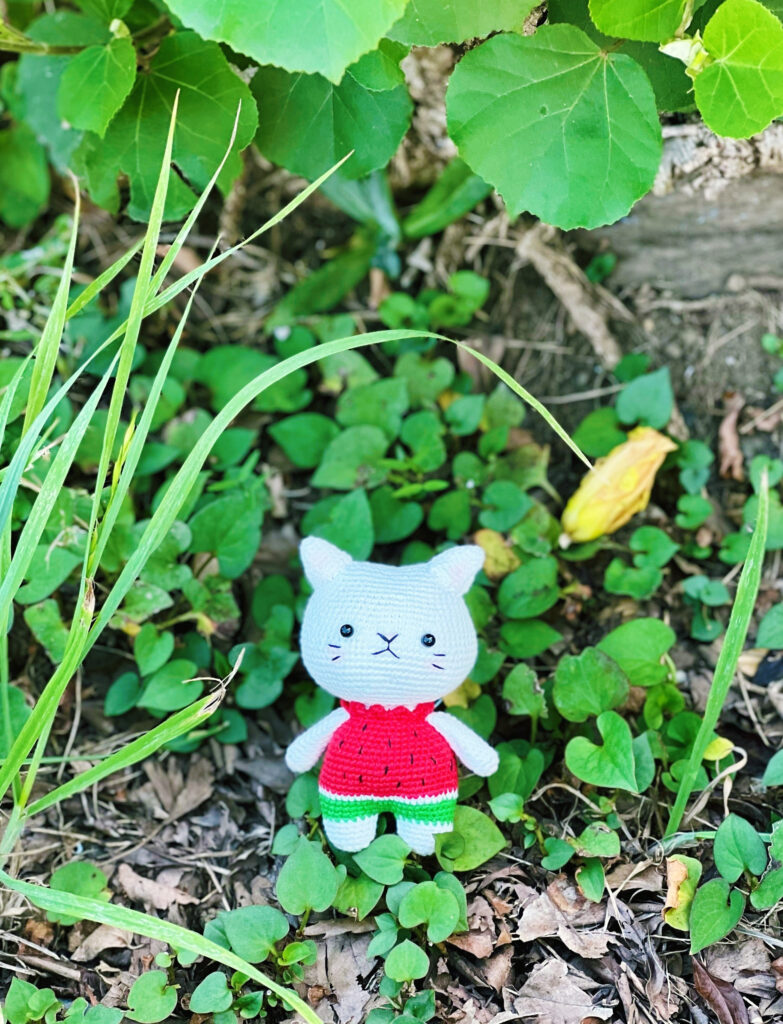 かわいいスイカニャンコ　ネコちゃん編みぐるみ　癒し系　楽しい夏スイカ変装　ストラップ/バッグチャーム/置物(受注制作)